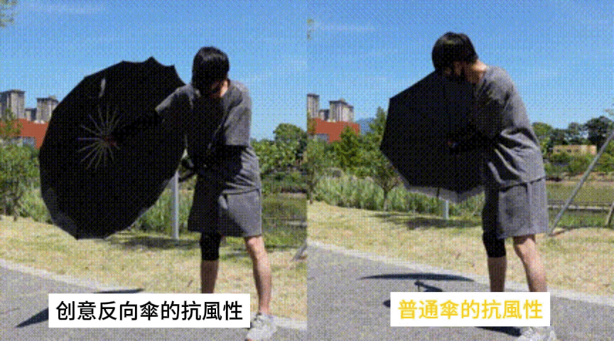 1738924397753940.gif